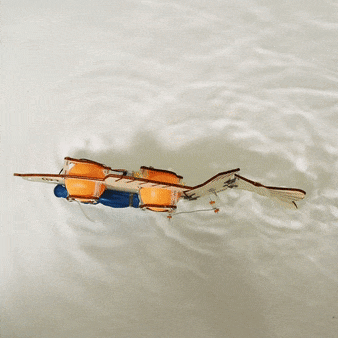 Fish Robot DIY Kit, Educational STEM Toy